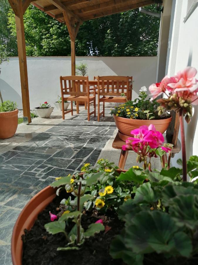 Apartmany 62 Novy Prerov المظهر الخارجي الصورة