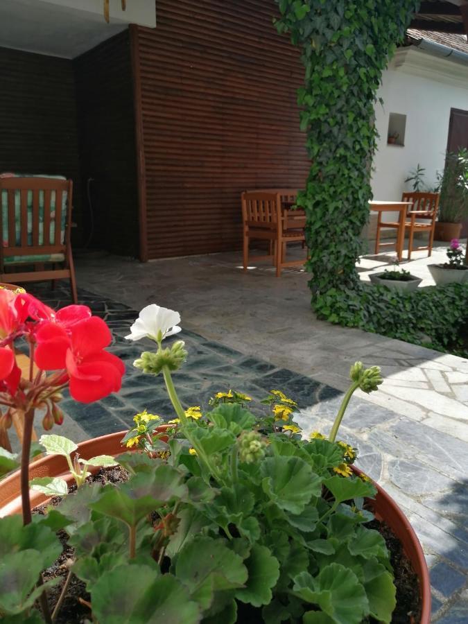 Apartmany 62 Novy Prerov المظهر الخارجي الصورة